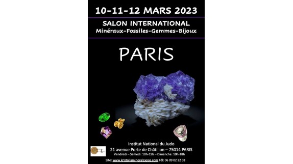 International show of Minerals-Fossils-Gems-Jewels